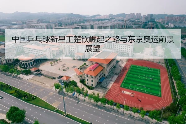 中国乒乓球新星王楚钦崛起之路与东京奥运前景展望